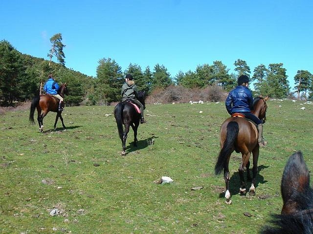 Miraflores de la Sierra